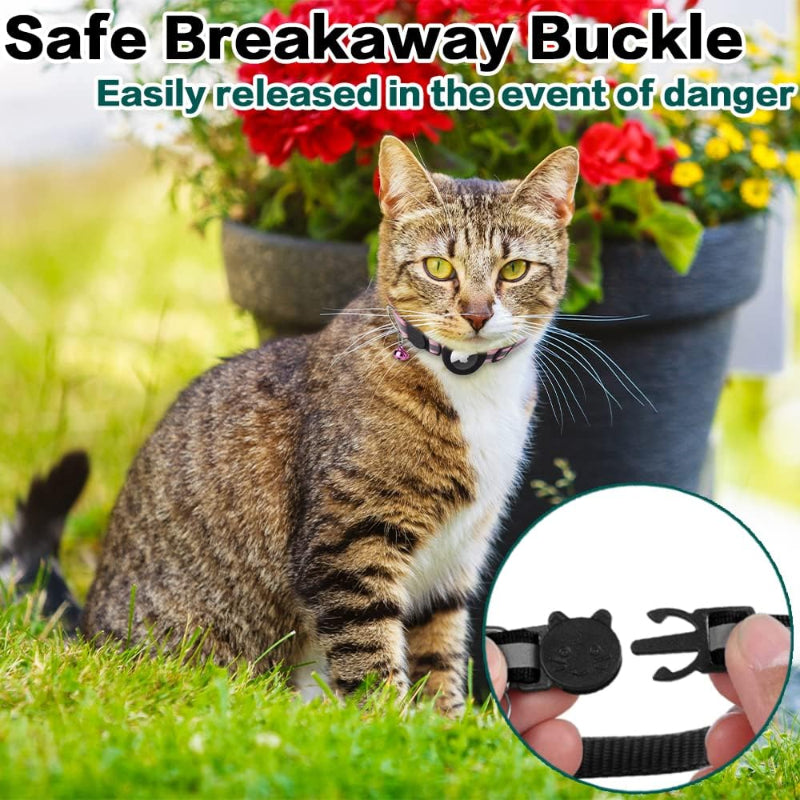 Kitten Collar with Breakaway Buckle & Built-in AirTag Holder