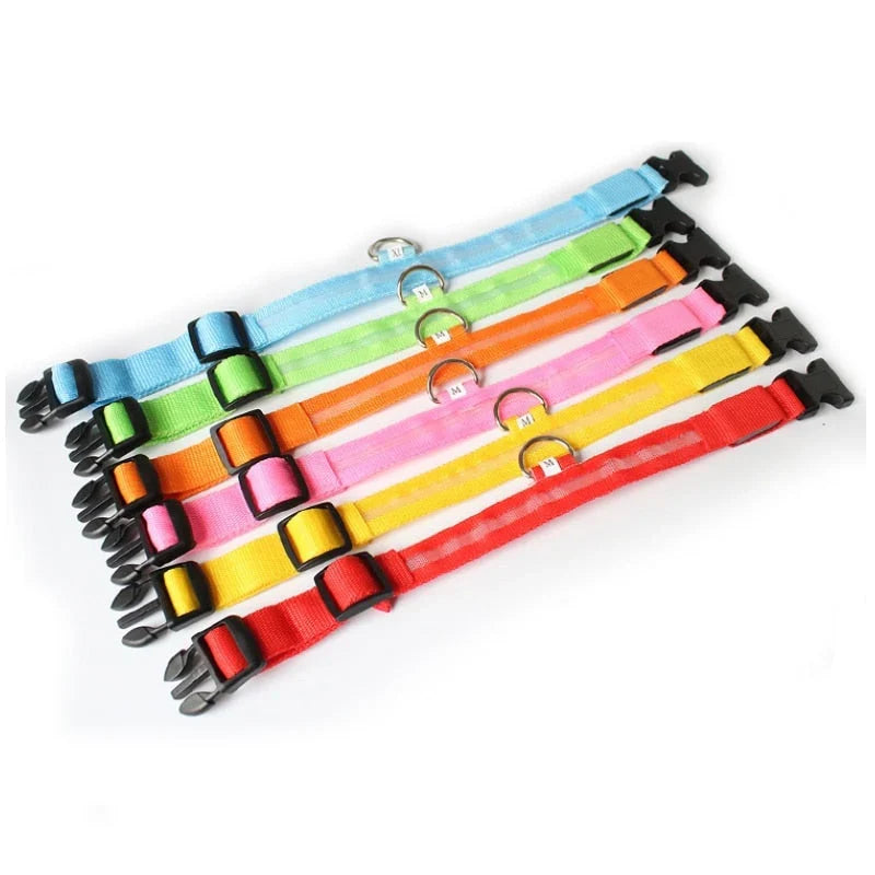GlowCollar LED Dog Collar – BrightPaws
