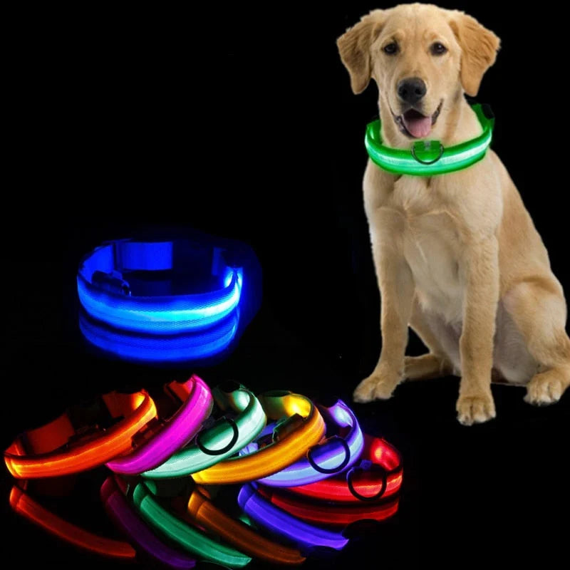GlowCollar LED Dog Collar – BrightPaws