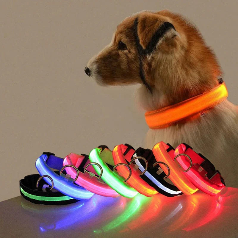 GlowCollar LED Dog Collar – BrightPaws