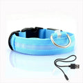 GlowCollar LED Dog Collar – BrightPaws