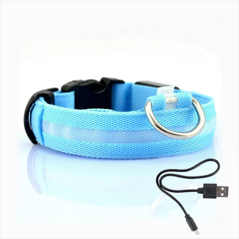 GlowCollar LED Dog Collar – BrightPaws