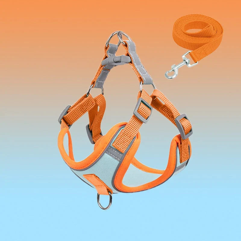 Reflective Dog Harness for Puppies & Small Dogs – PawSafe GlowPup