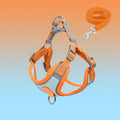 Reflective Dog Harness for Puppies & Small Dogs – PawSafe GlowPup