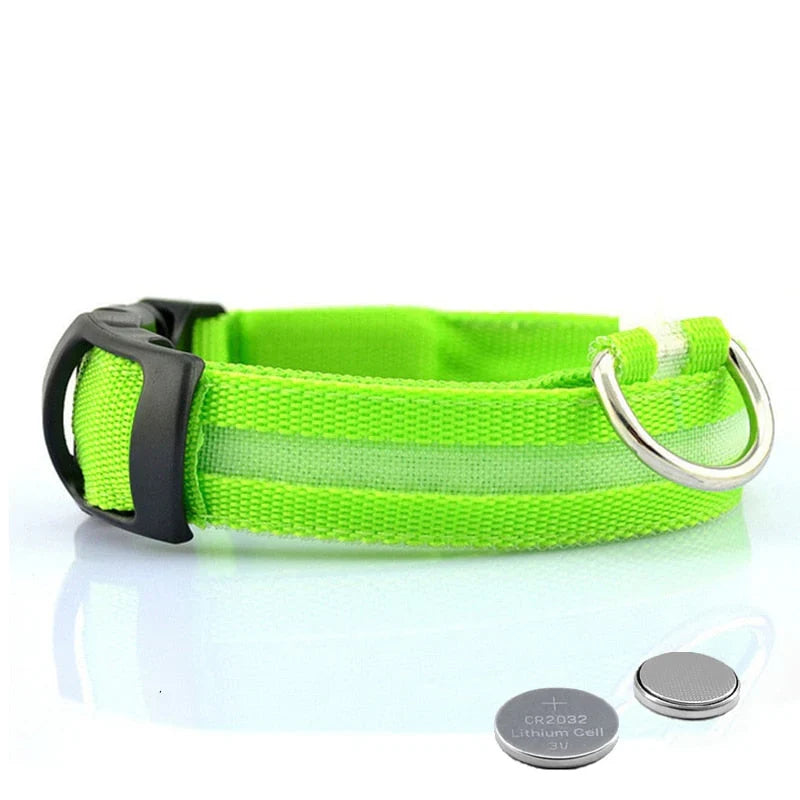 GlowCollar LED Dog Collar – BrightPaws