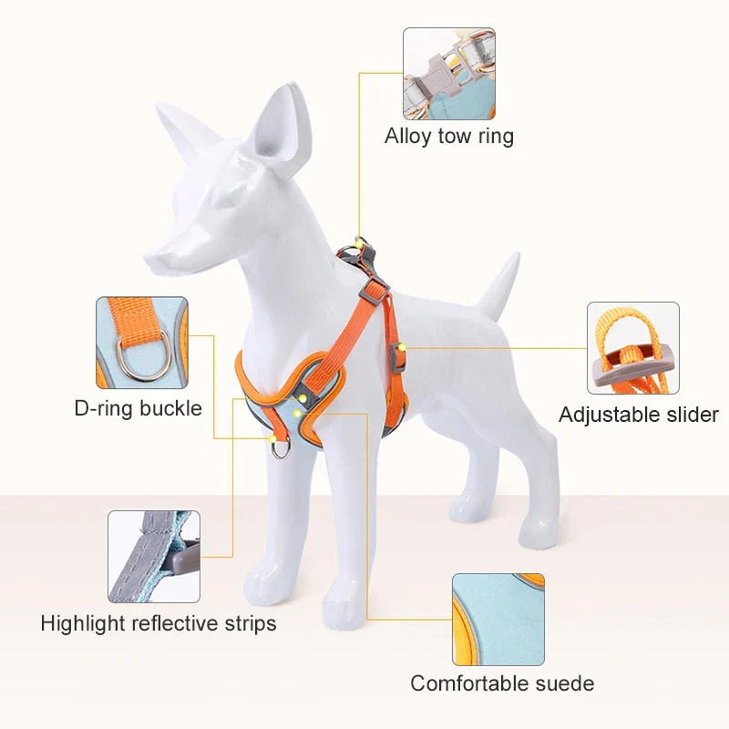 Reflective Dog Harness for Puppies & Small Dogs – PawSafe GlowPup