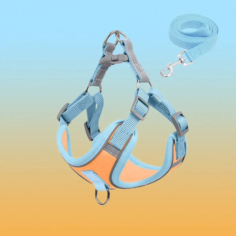 Reflective Dog Harness for Puppies & Small Dogs – PawSafe GlowPup