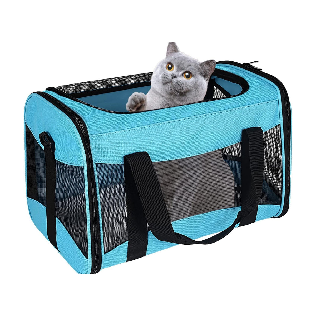 Airline-Approved Soft-Sided Pet Carrier for Cats & Small Dogs — Under-Seat Fit