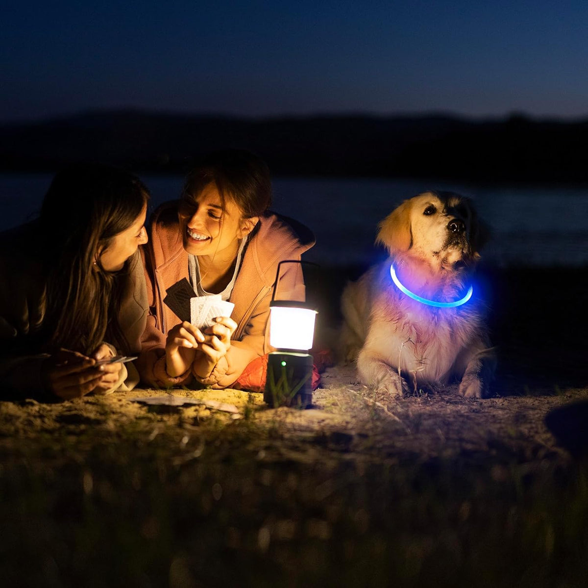 USB-Rechargeable LED Safety Collar for Dogs & Cats – 360° Glow, Adjustable, 3 Flash Modes