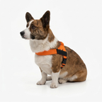 Adjustable Neck & Chafe-Resistant Dog Harness for Small Dogs – No-Pull, Soft Mesh, Easy-Click Buckle