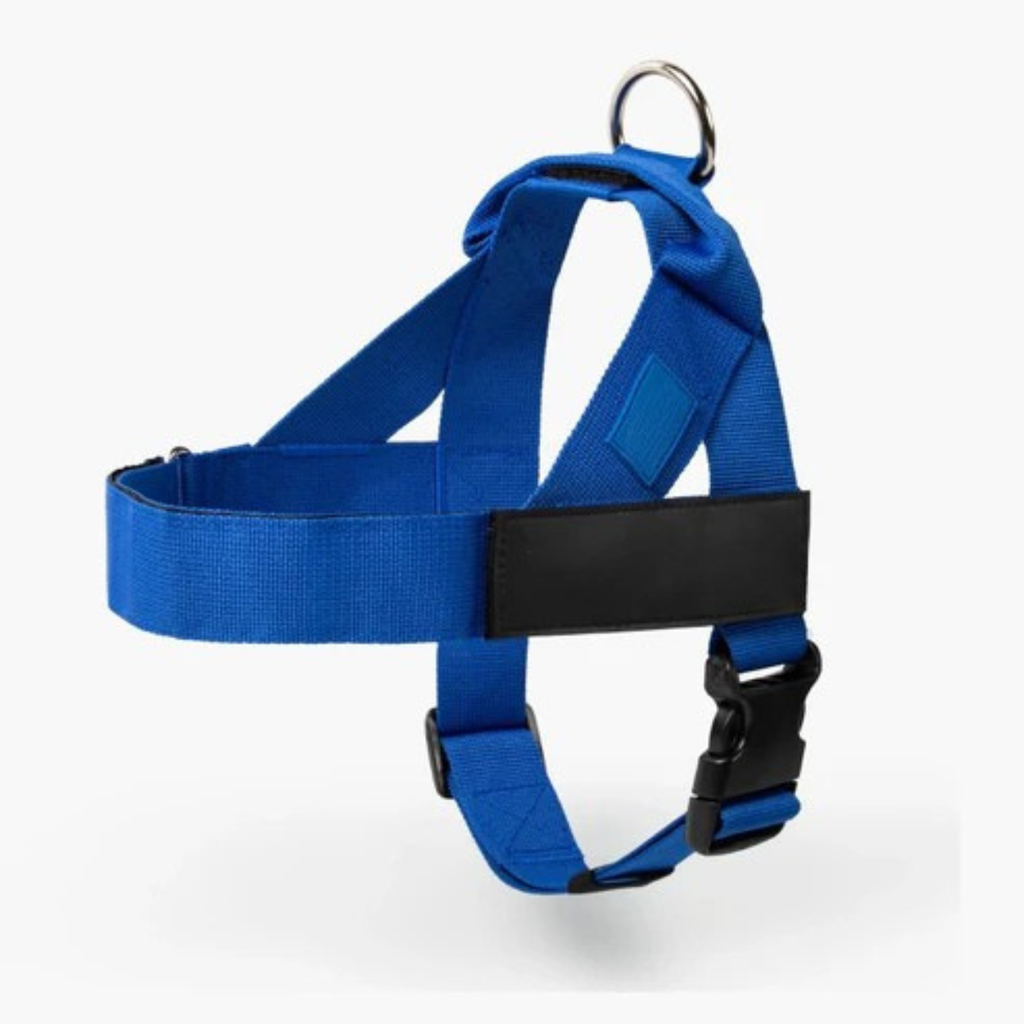 Adjustable Neck & Chafe-Resistant Dog Harness for Small Dogs – No-Pull, Soft Mesh, Easy-Click Buckle