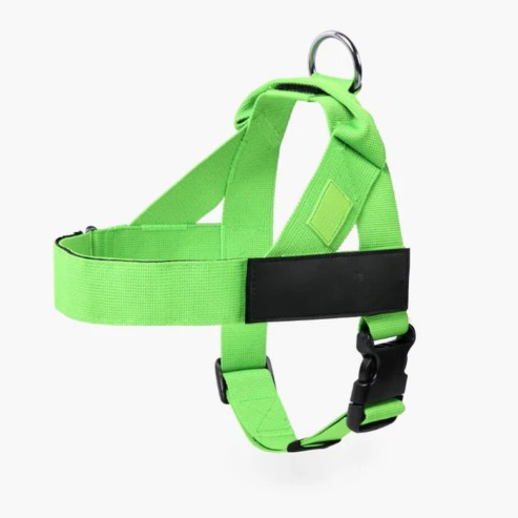 Adjustable Neck & Chafe-Resistant Dog Harness for Small Dogs – No-Pull, Soft Mesh, Easy-Click Buckle