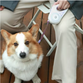 GlowLeash Walk – Glow-in-the-Dark Dog Leash with Built-in Flashlight
