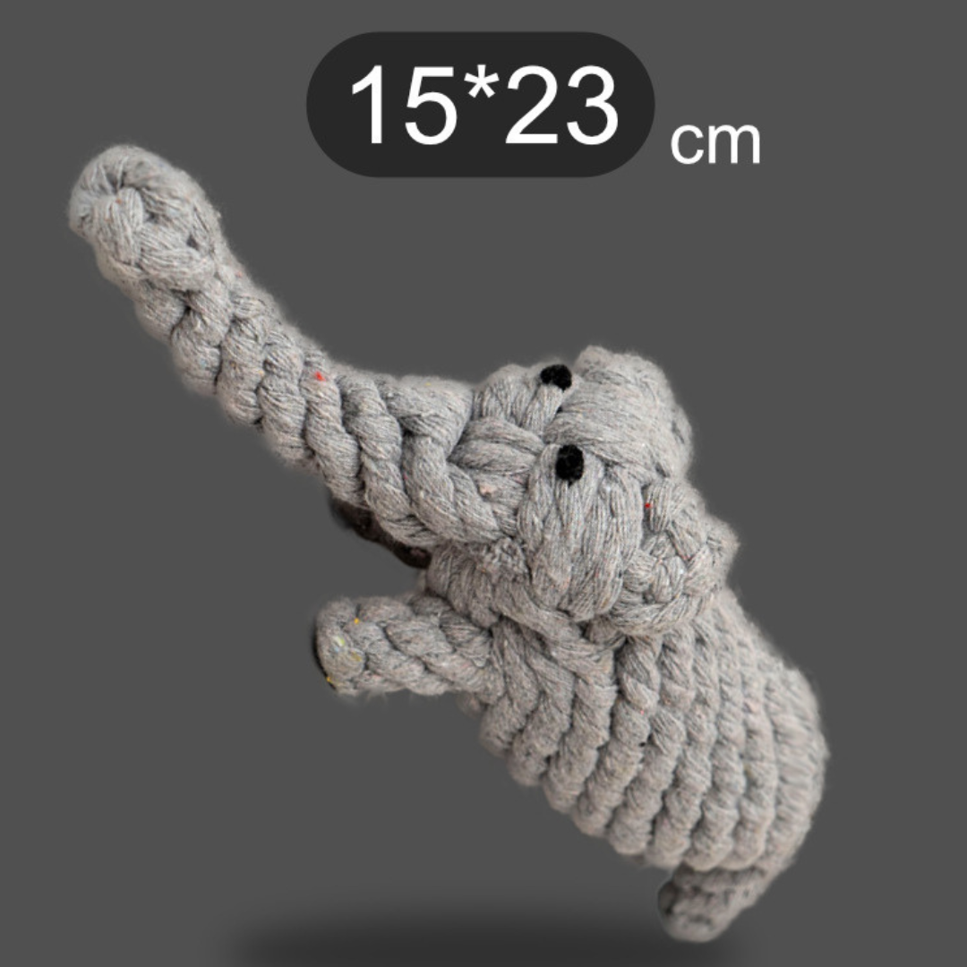 Carrot Cotton Rope Chew Toy for Dogs – Fun, Healthy & Durable!