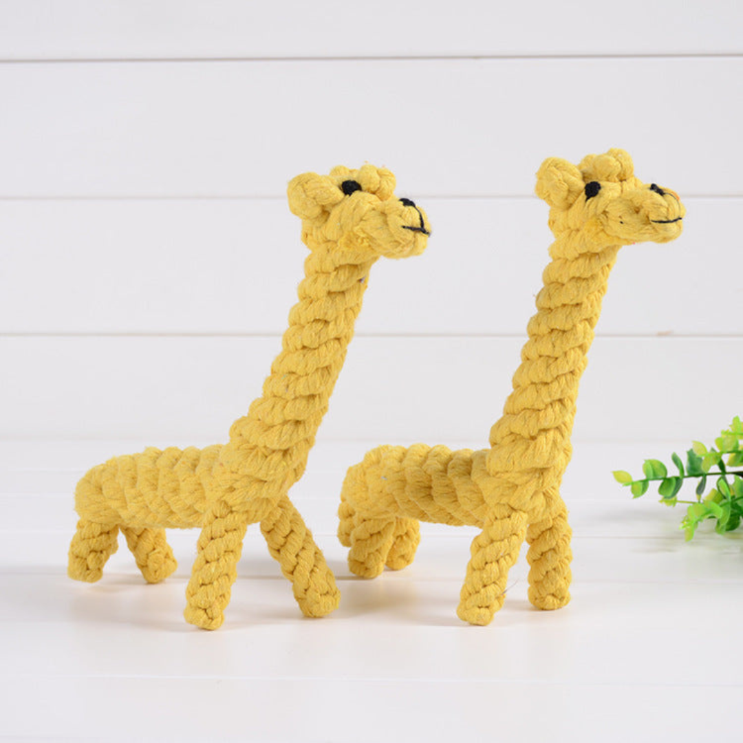 Durable Dog Chew & Tug Toy Set — Cotton Rope Duck Toy for Teething, Dental Health & Fun