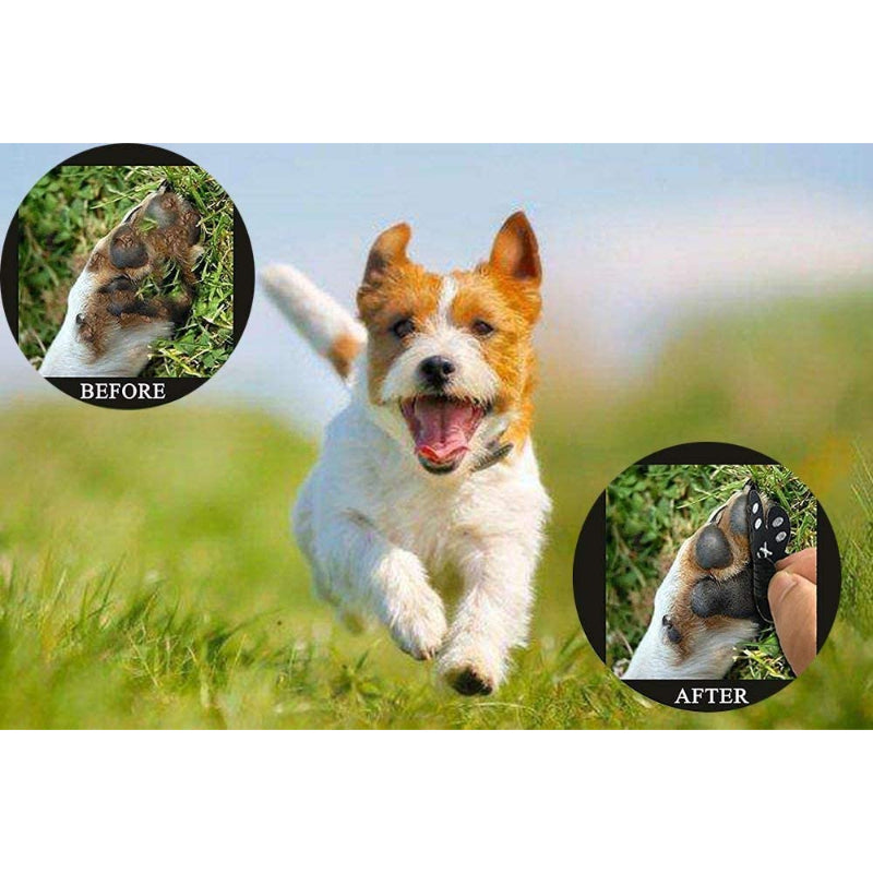 Dog Paw Protectors – Disposable Anti-Slip Booties with Self-Adhesive Grip