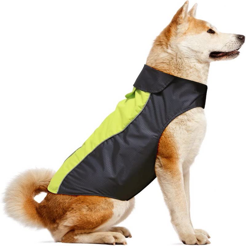 Dog Raincoat – Waterproof, Lightweight & High-Visibility Jacket for Small to XXX-Large Dogs