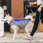 Dog Raincoat – Lightweight Waterproof & High-Visibility Jacket for Small, Medium & Large Dogs