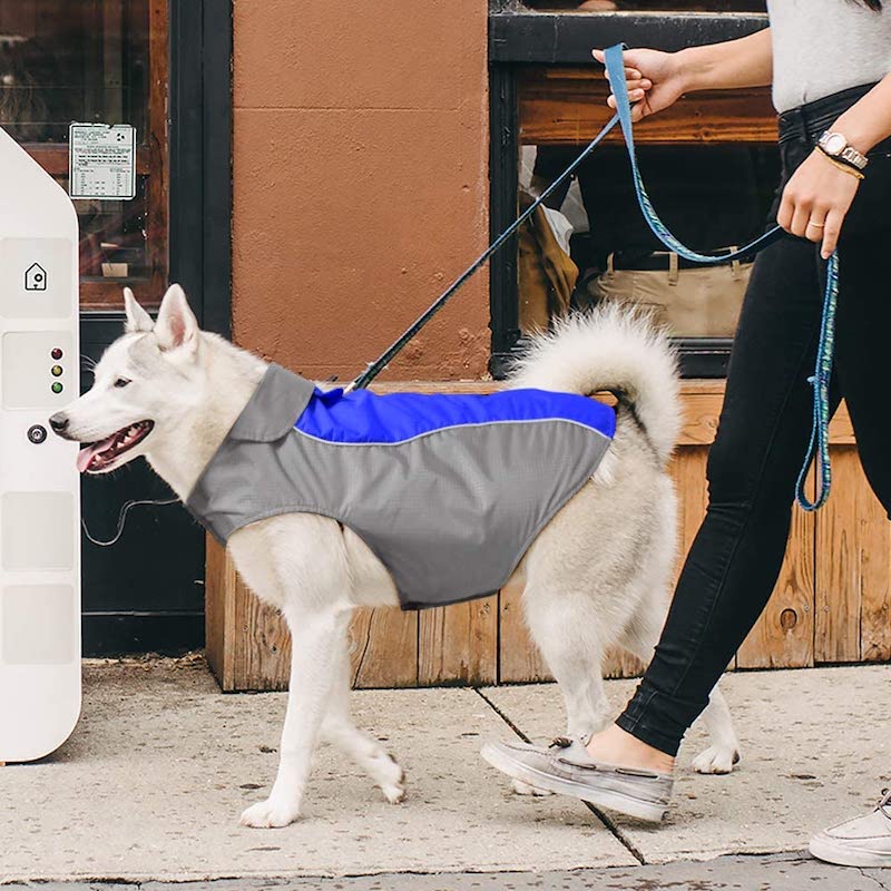 Dog Raincoat – Lightweight Waterproof & High-Visibility Jacket for Small, Medium & Large Dogs