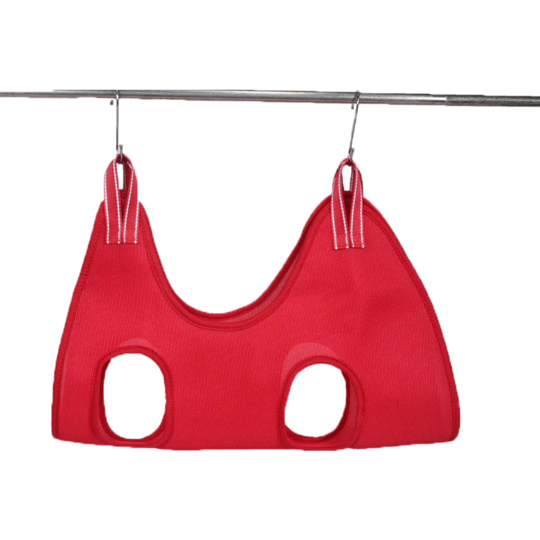 Good Cat Hammock – Cozy, Sturdy Pet Bed for Indoor Cats