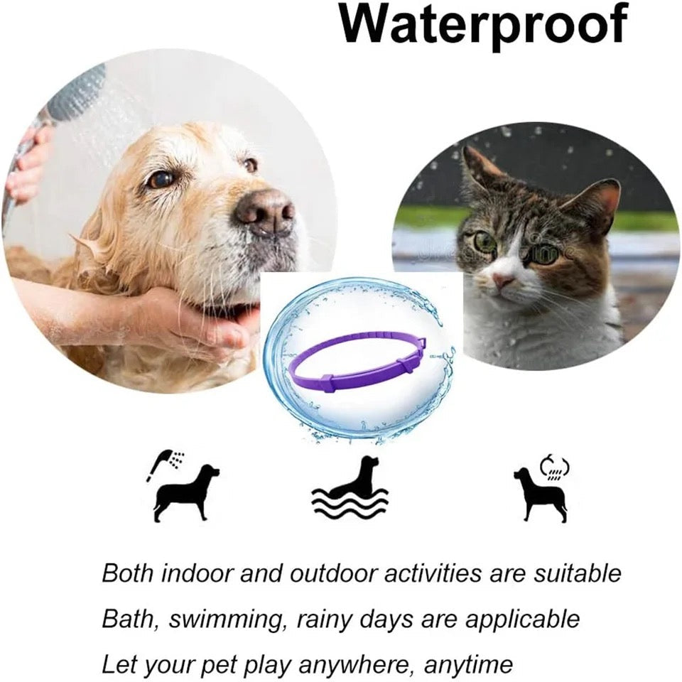 Pheromone Calming Collar for Dogs & Cats – Natural Stress Relief