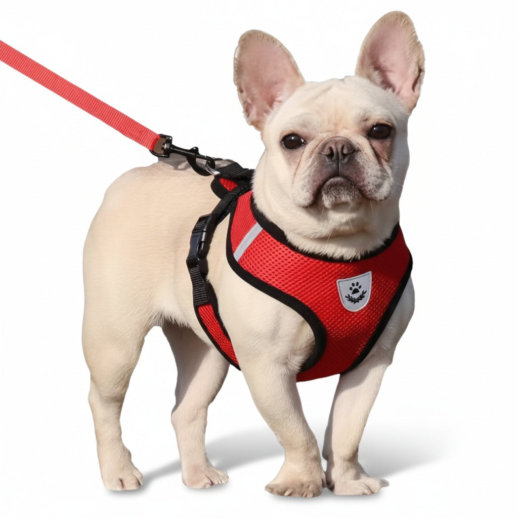 Adjustable Dog Harness with Reflective Leash – Comfortable, Safe & Breathable for Daily Walks