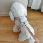 Adjustable Pet Harness & Leash Vest – Soft Plush Dog Cat Harness for Small Pets