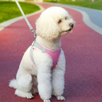 Soft Mesh Adjustable Pet Harness for Small Dogs & Cats