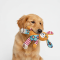 Plush Cartoon Chew Toy for Dogs & Pets – Soft, Fun, Supervised Play Toy