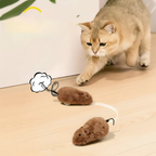 Smart Rolling Ball Cat Toy – Auto-Chasing Interactive Pet Toy for Indoor Cats