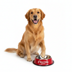 Personalized Stainless Steel Pet Bowl – Engraved Name for Cats & Dogs