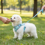 Breathable Mesh Dog & Cat Vest Harness – Reflective, Lightweight, No-Pull Walking Harness