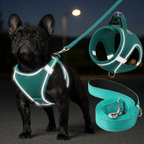Adjustable Dog Harness & Leash Set – Reflective, Step-In Design for Easy Control