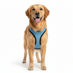 Step-In Air Mesh Dog Harness – Lightweight, Breathable & Reflective Pet Walking Harness