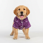 Glossy Pet Pajama Costume Outfit for Small Dogs & Cats