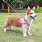 Adjustable Pet Harness & Leash Set for Small Dogs and Puppies