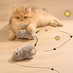 Smart Rolling Ball Cat Toy – Auto-Chasing Interactive Pet Toy for Indoor Cats
