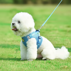 Adjustable Pet Harness & Leash Set for Small Dogs and Puppies