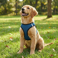 Step-In Air Mesh Dog Harness – Lightweight, Breathable & Reflective Pet Walking Harness