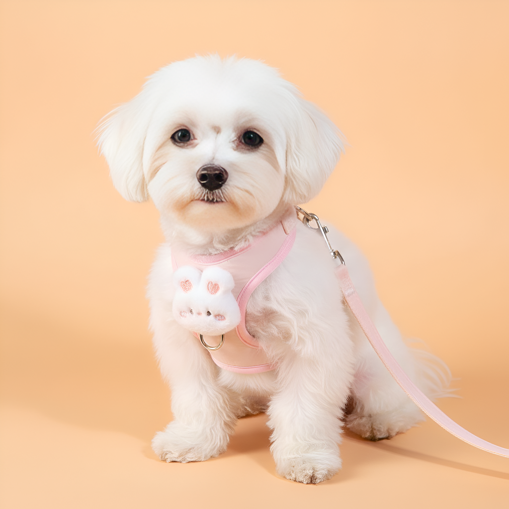 Adjustable Pet Harness & Leash Vest – Soft Plush Dog Cat Harness for Small Pets
