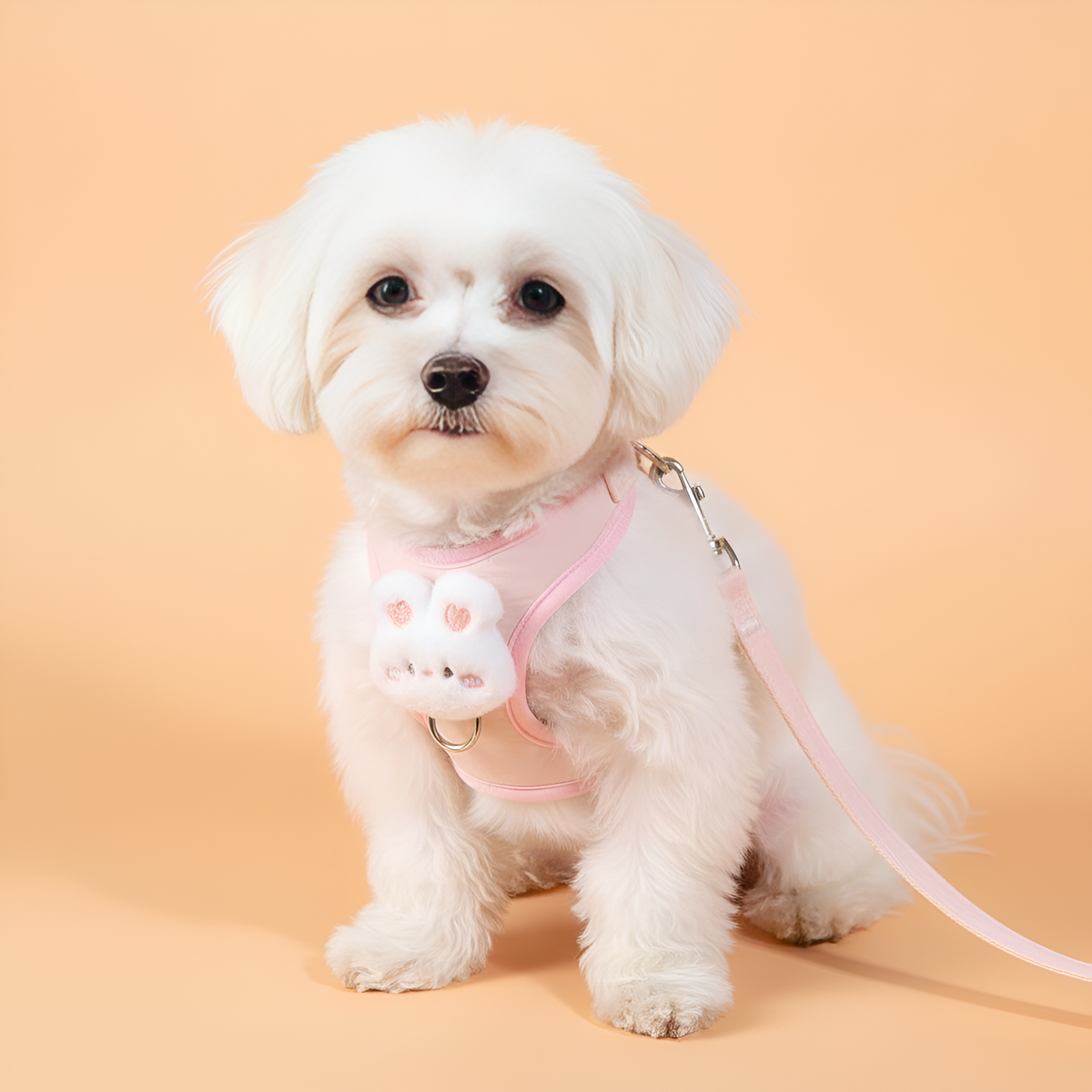 Adjustable Pet Harness & Leash Vest – Soft Plush Dog Cat Harness for Small Pets