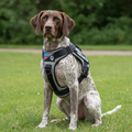 Adjustable Reflective Service Dog Harness with 5 Removable Training Patches