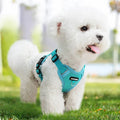 Reflective Dog Harness & Leash Set for Small Dogs – SafeStep