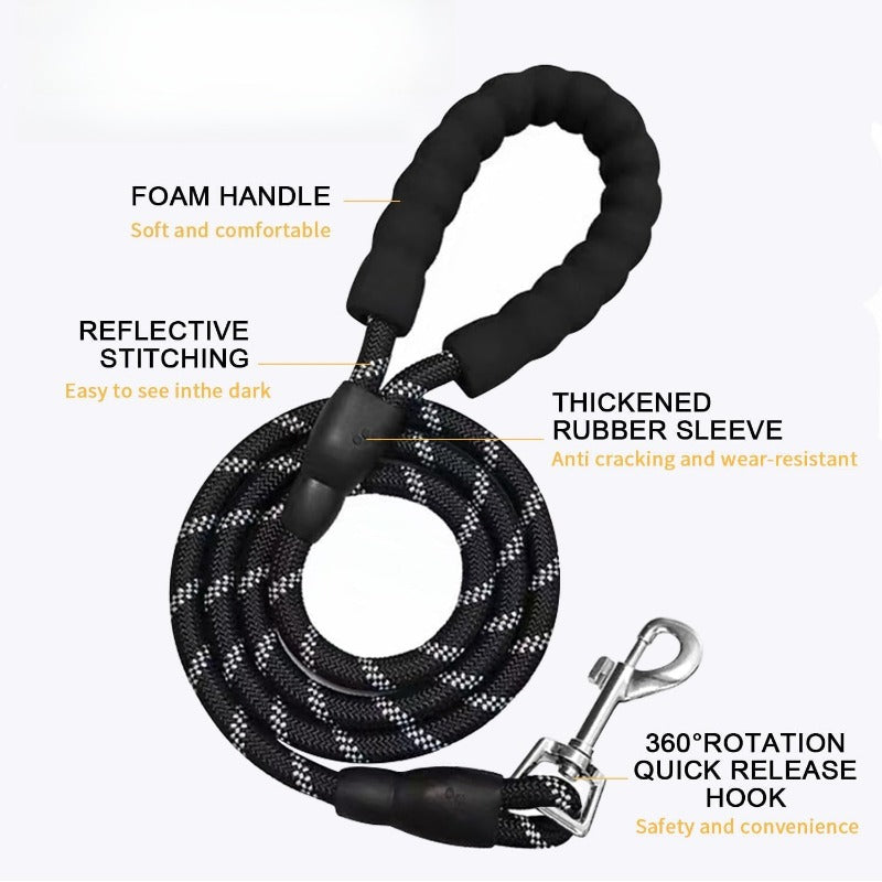 Safe Night Walk Gear for Pets & Owners