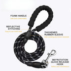 Safe Night Walk Gear for Pets & Owners