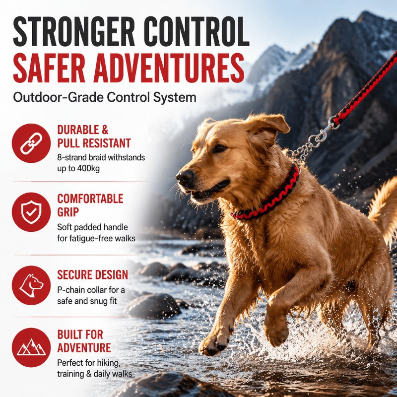 Heavy-Duty 8-Strand Braided Dog Leash with Built-In P-Chain