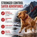 Heavy-Duty 8-Strand Braided Dog Leash with Built-In P-Chain