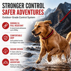 Heavy-Duty 8-Strand Braided Dog Leash with Built-In P-Chain