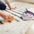 FurCobra Pet Hair Remover Tool – Effortless, Multi-Surface Fur Lifter