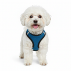 Step-In Air Mesh Dog Harness – Lightweight, Breathable & Reflective Pet Walking Harness